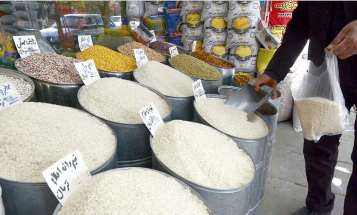واردات برنج باعث ورشکستگی کشاورزان می‌شود؟
