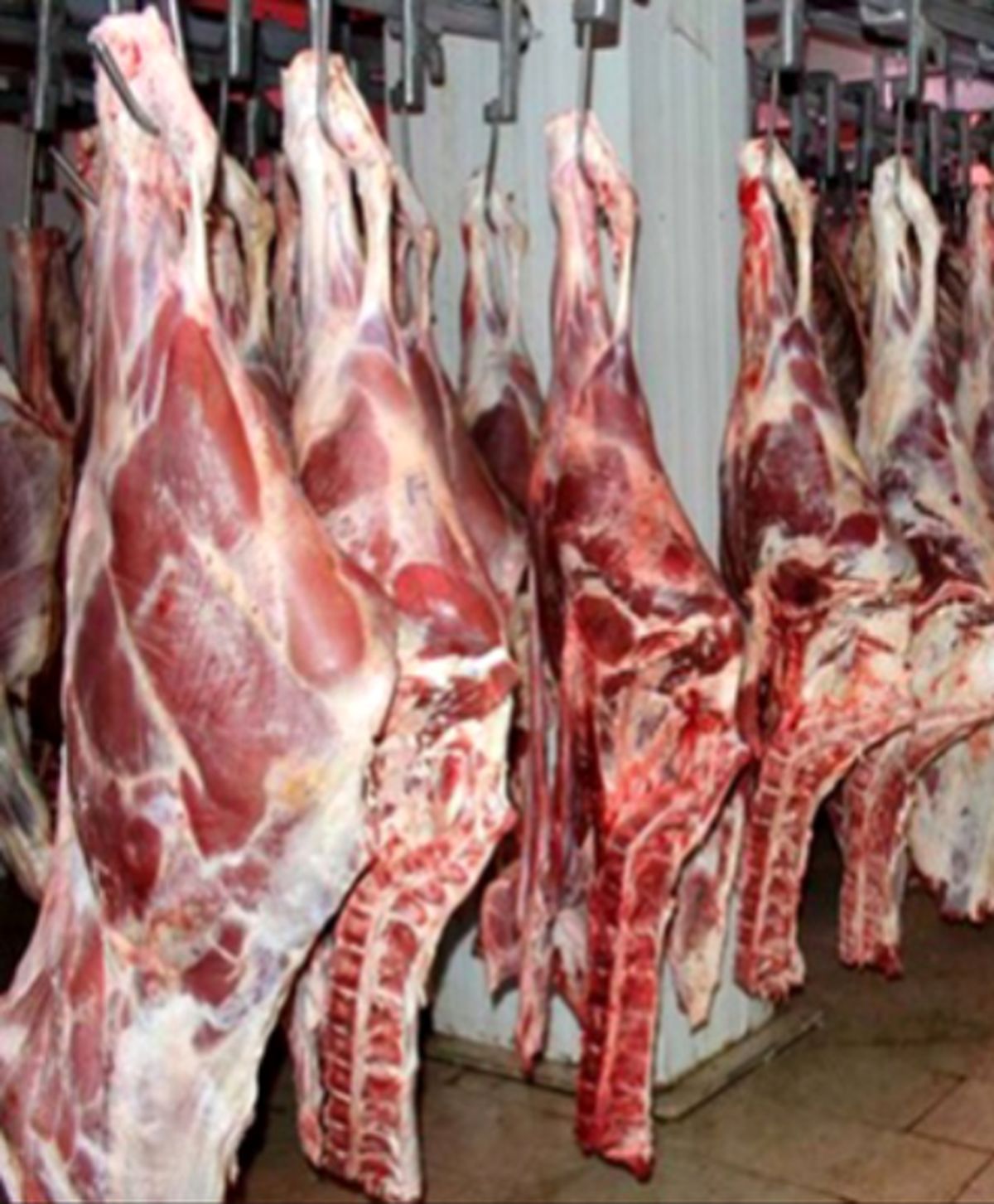 احتمال گران شدن گوشت