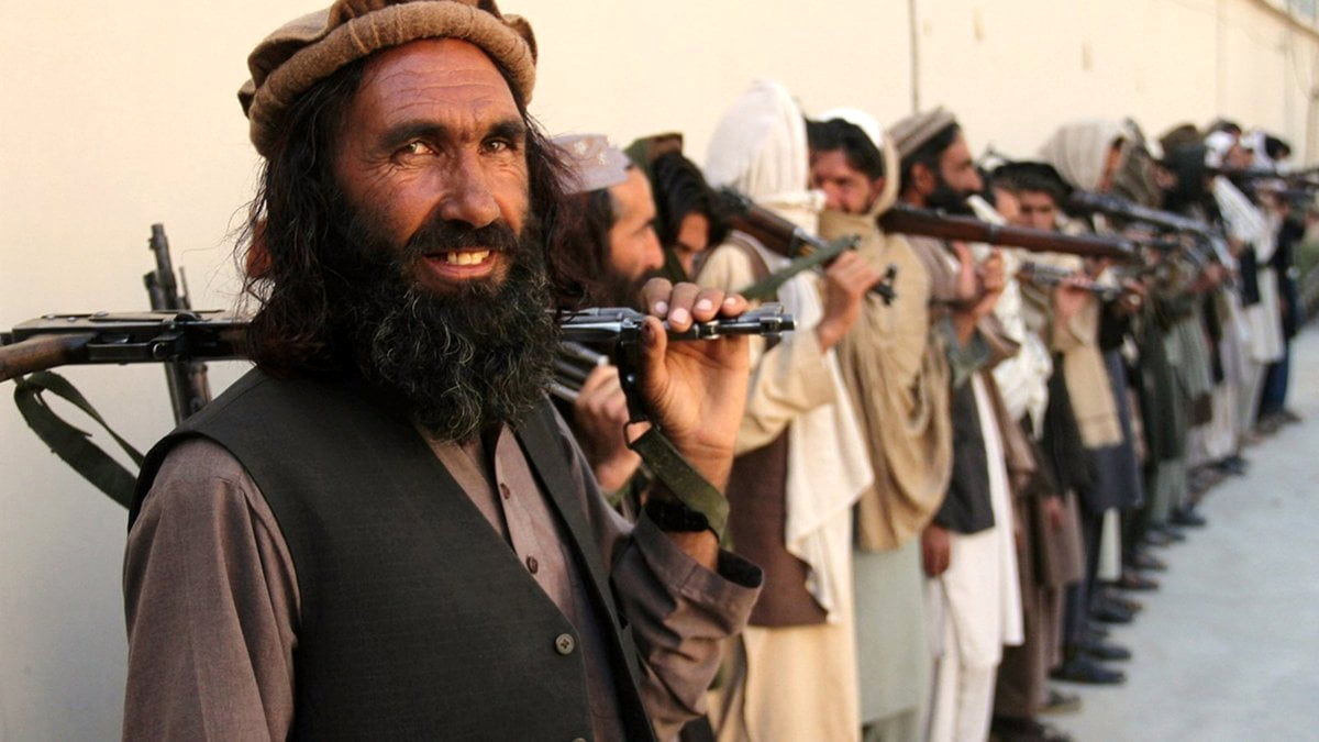طالبان دوباره گل کاشت!