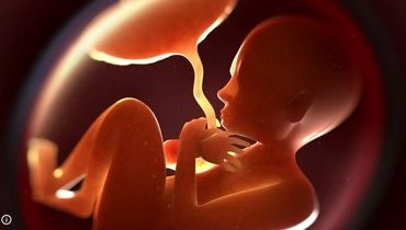 یک آزمایش خون «پیشگامانه» در دانمارک برای تشخیص زودهنگام ناهنجاری‌های ژنتیکی جنین 